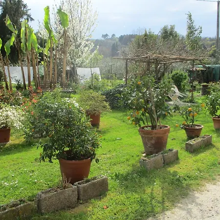 Casa Natya Capannori
